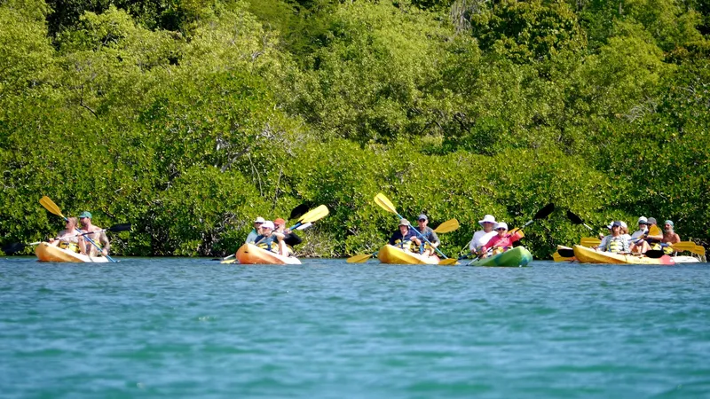 Two-person kayak beside a reef and white-sand beach on an antigua and barbuda snorkeling and kayak tour at Bird Island